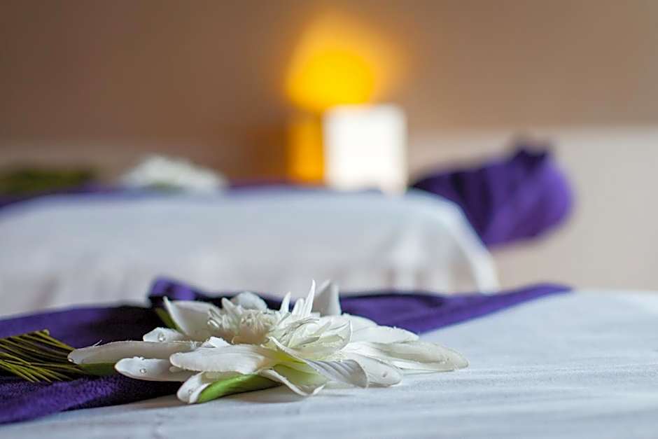 Domaine de Bellevue, The Originals Relais (Relais du Silence)