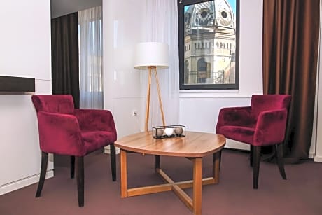 Deluxe One-Bedroom Apartment