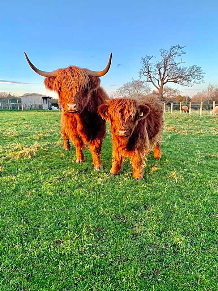 Orchard House Lodges by Ecohuman