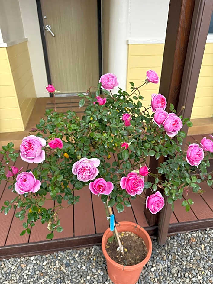 Alishan Tea Garden B&B