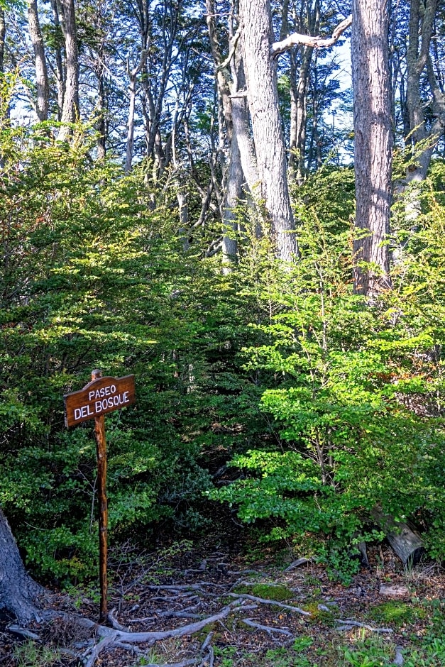 CabaÃ±as Del Martial
