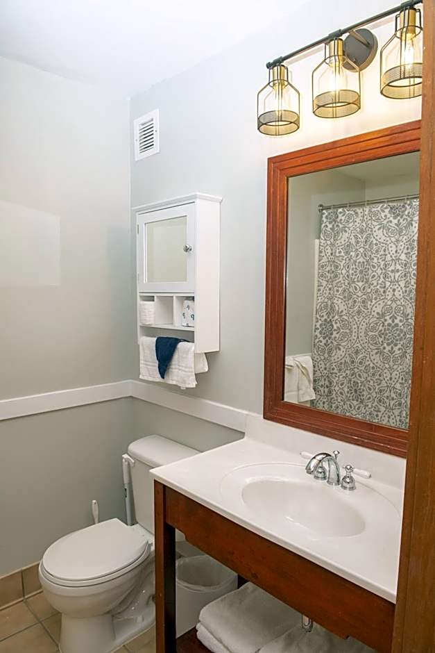 Allegheny Spring 239 KING, bed/Ski-In, Out/Pool & Hot Tub