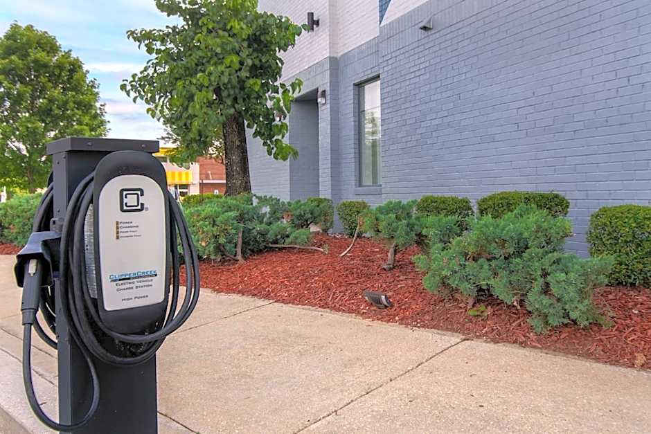 Spark by Hilton Montgomery