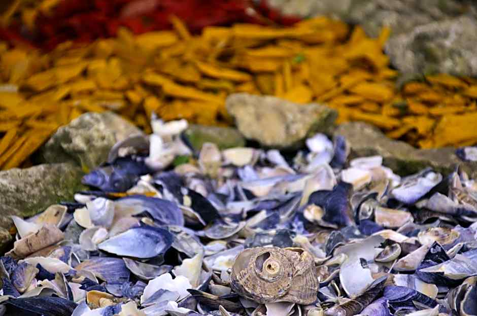 COMPLEX MAJESTIC JUPITER All inclusive