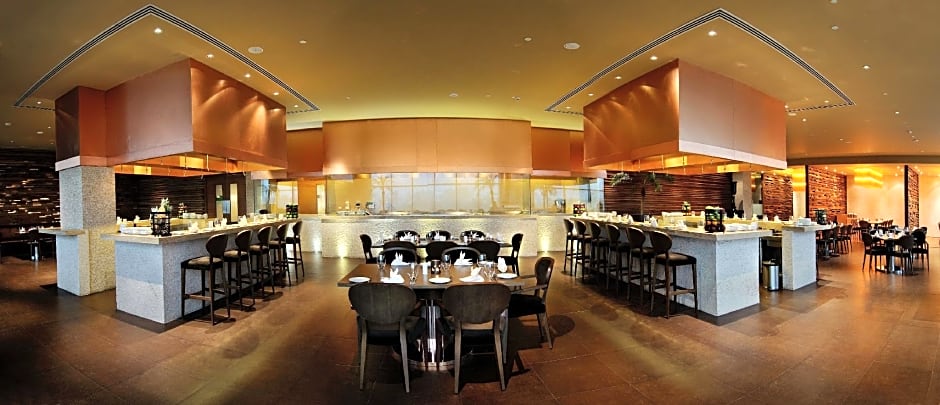 Radisson Blu Hotel New Delhi Paschim Vihar