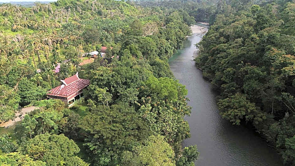 Green Forest Tangkahan