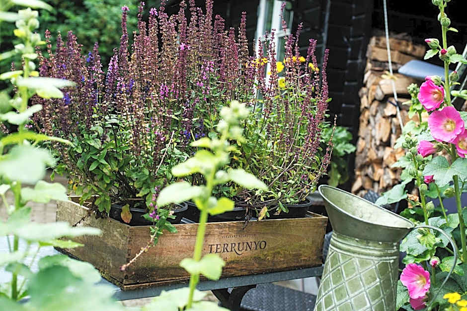 Grundfør bed and breakfast