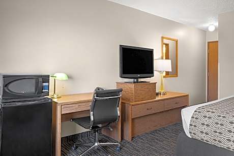 1 King Bed Non-Smoking