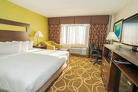 King Room - Non-Smoking