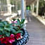 Park Hotel Cellini