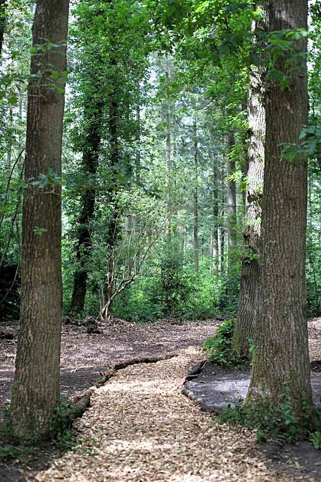 Adelaerthoeve Logies & Ontbijt