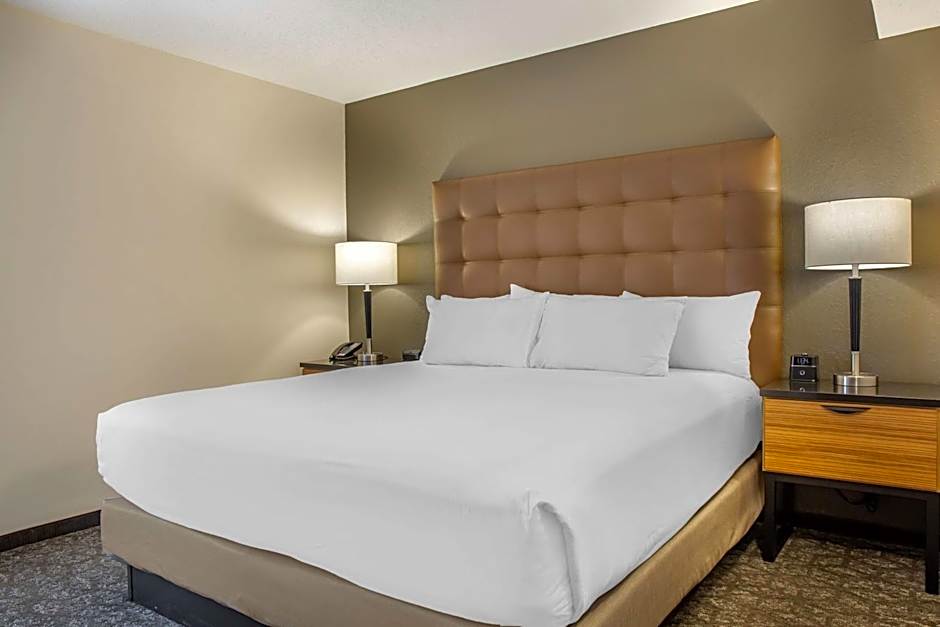 DRURY INN & SUITES ST LOUIS SOUTHWEST
