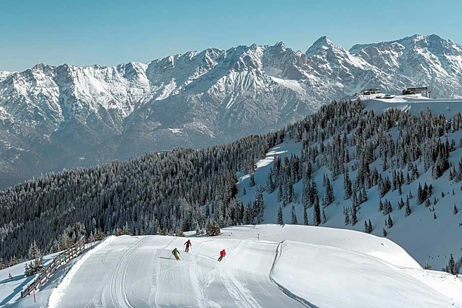 AlpenParks Chalet & Apartment Steve Lodge Viehhofen