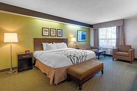 1 King Bed, Nonsmoking