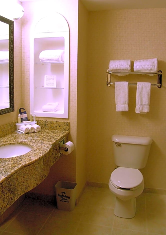Holiday Inn Express Hotel & Suites Rochester, an IHG Hotel