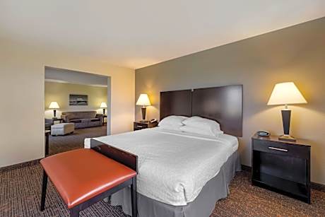 King Suite with Sofa Bed and Bath Tub - Disability Access/Non-Smoking