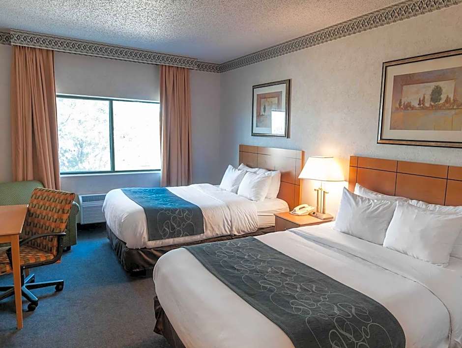 Comfort Suites   University