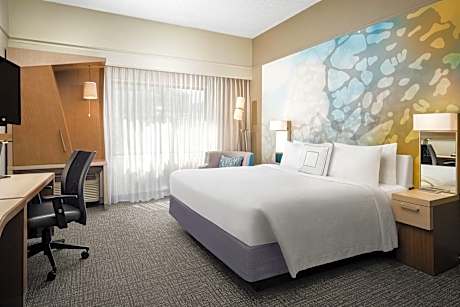 Room, 1 King Bed