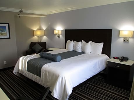 1 King Bed, Non-Smoking, Pets In Room Ok, First Floor, Microwave And Refrigerator, Full Breakfast