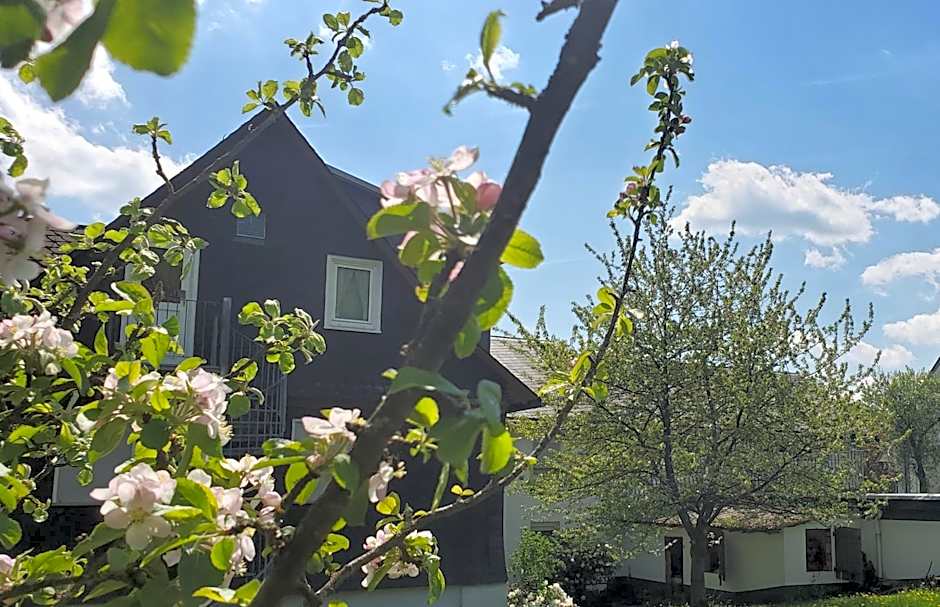 Landgasthof Steuber - Hotel garni