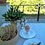 Helicon Muses Friendly Mountain B&B Guesthouse