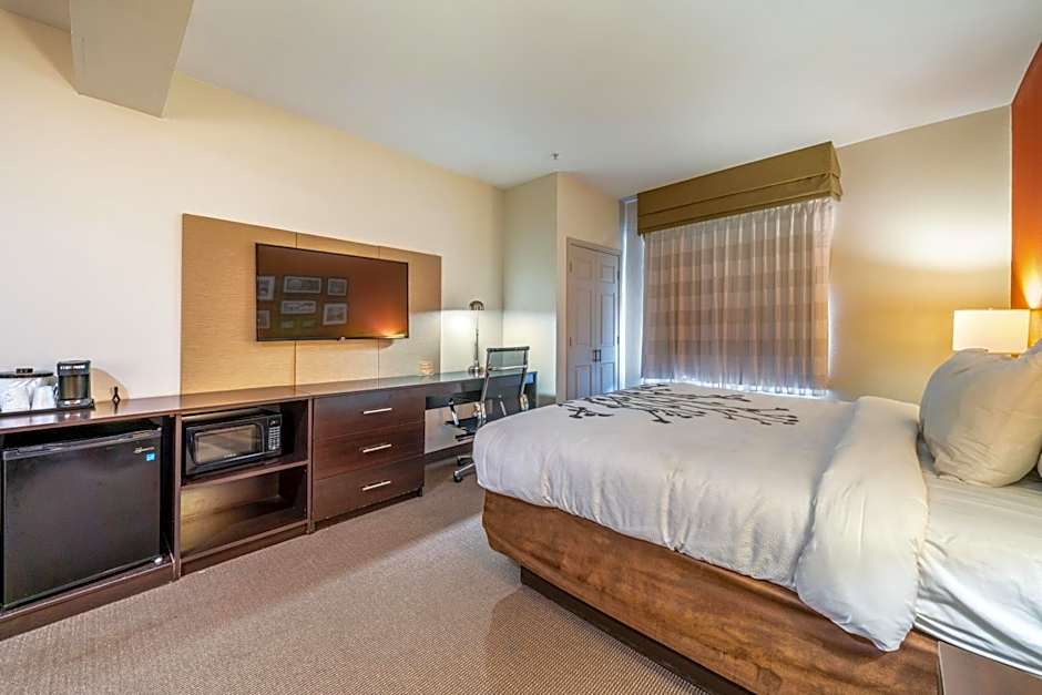 Restwell Inn & Suites I-45 North