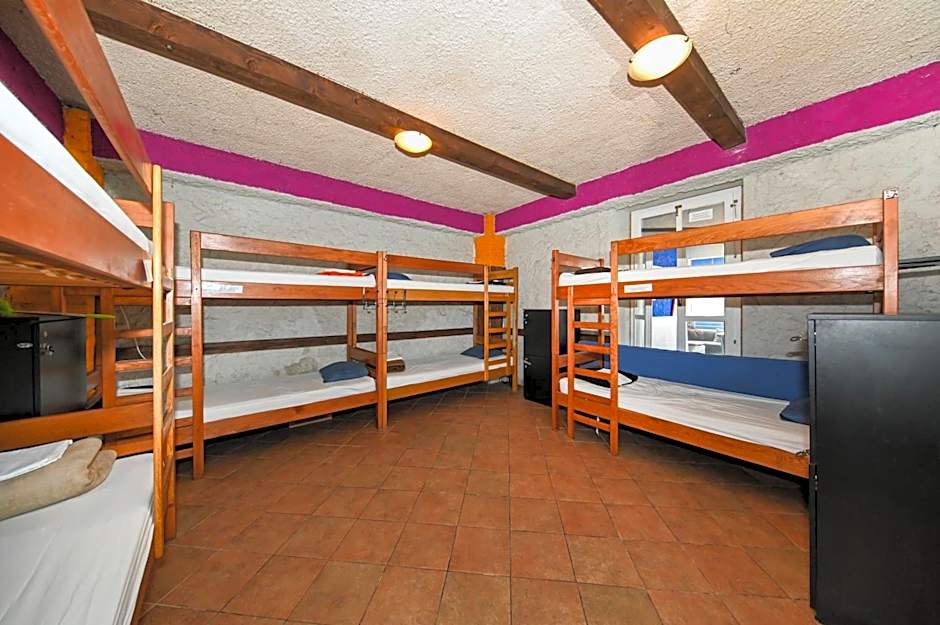 The Lazy Monkey Hostel & Apartments