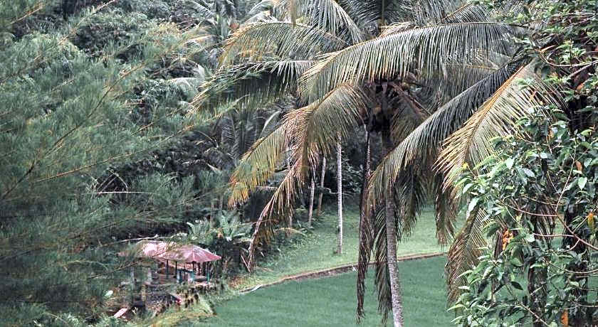 Tirta Sari