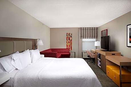 King Suite- Non-Smoking