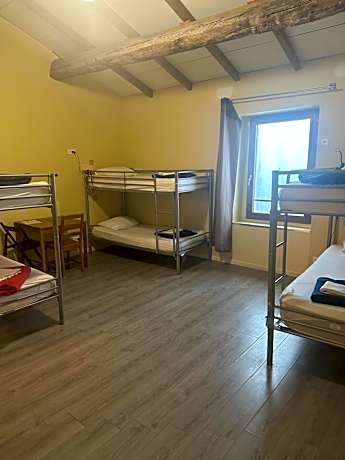 Bed in 6-Bed Dormitory Room