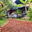 The Willow Phangan
