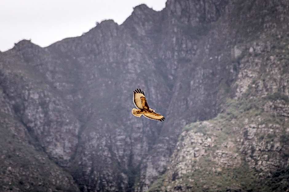 Duikersdrift Winelands Country Escape