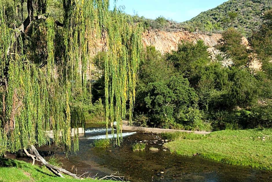 Old Mill Lodge, Seasonal Working Ostrich Farm & Restaurant, Oudtshoorn