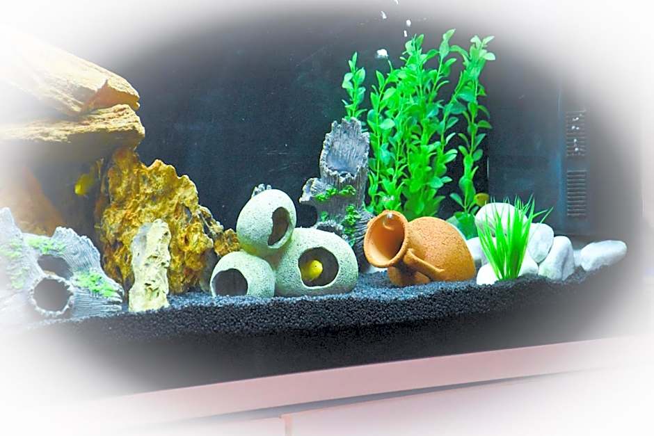 Hotel Suprem sul Mare