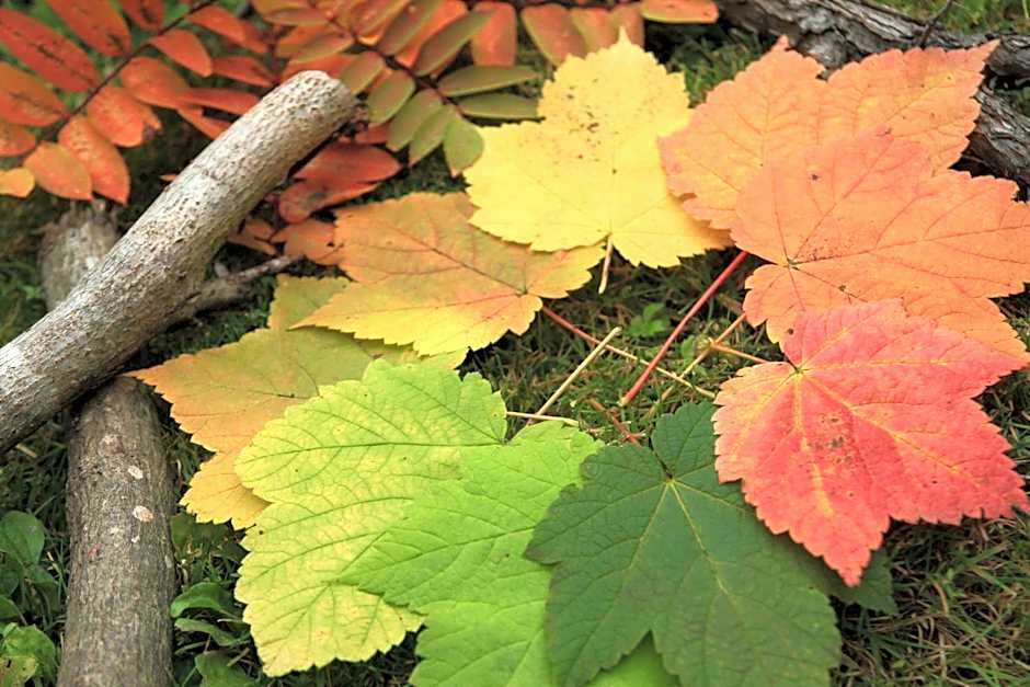 Auberge La Châtelaine