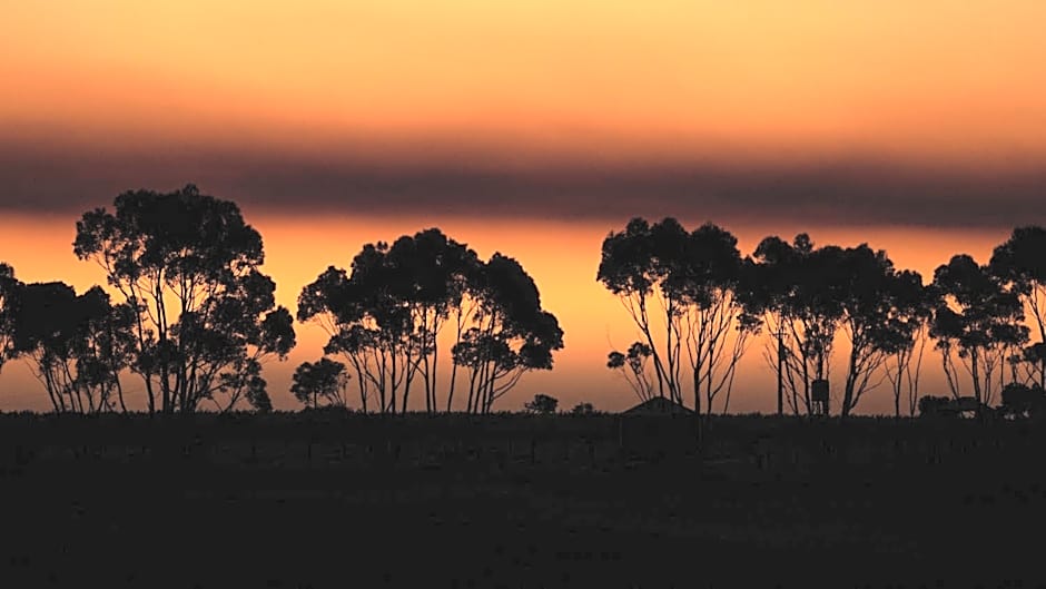 Hotel California Road at Inkwell Wines