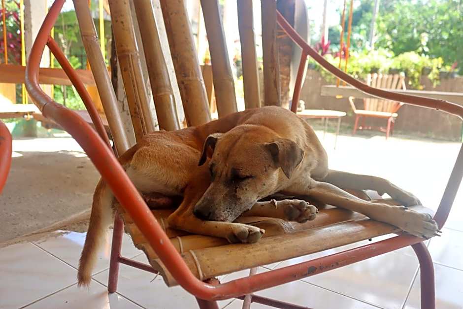 Bohol Hammock Hostel