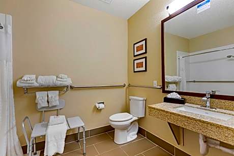 Business King Suite - Accessible/Non-Smoking