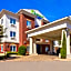 Holiday Inn Express Hotel & Suites Abilene Mall South By IHG