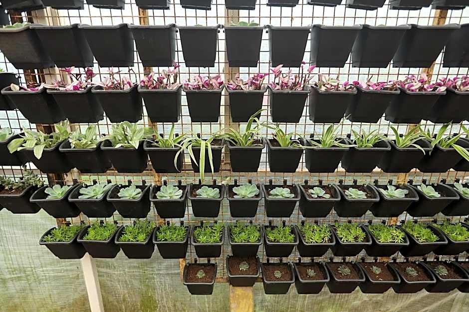 Delightz Inn Resorts