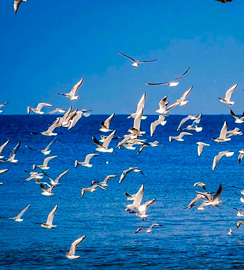 INTERSTELLAR ☆ ORBI CITY