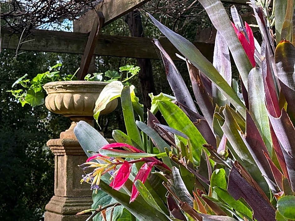 The Castle - Villa by the Sea