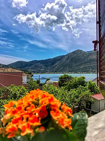 Camelia Studios
