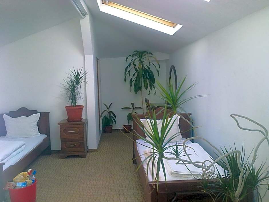 Guest House Todorini kashti