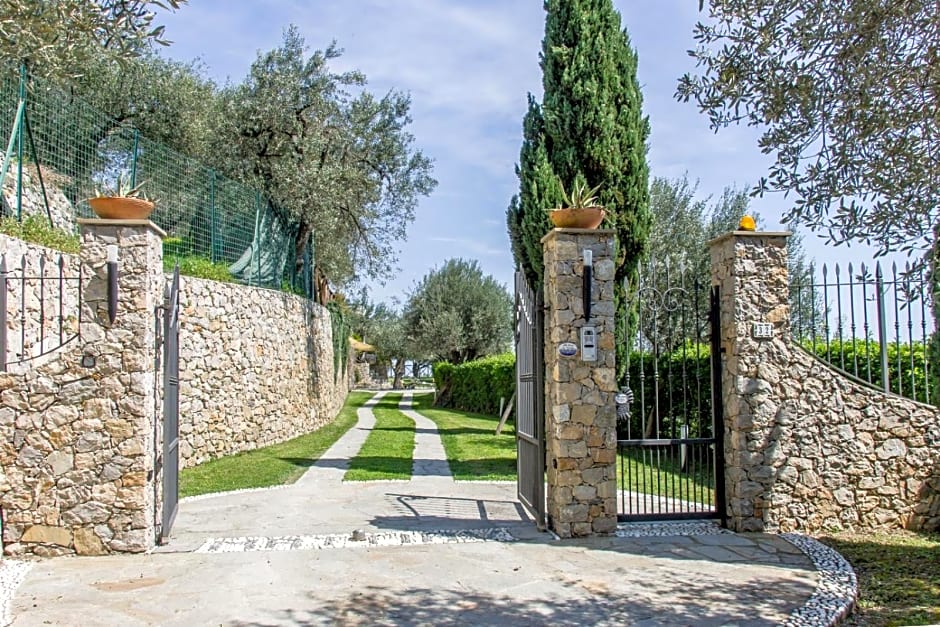 Villa Degli Ulivi B&B