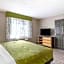 Quality Inn & Suites Delaware
