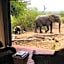 Impodimo Game Lodge
