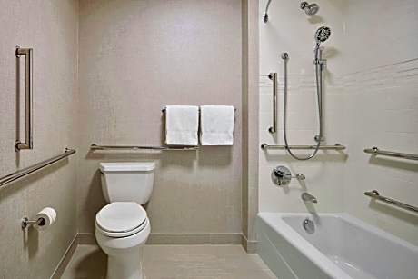 Suite, 1 Bedroom (1 Queen Bed and 1 Double Sofa Bed)