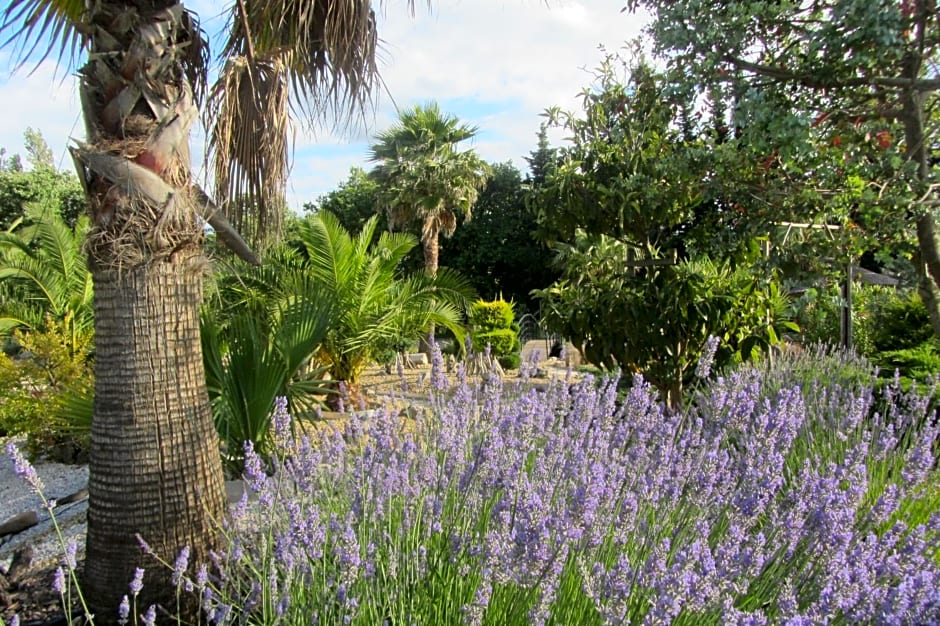 La palmeraie