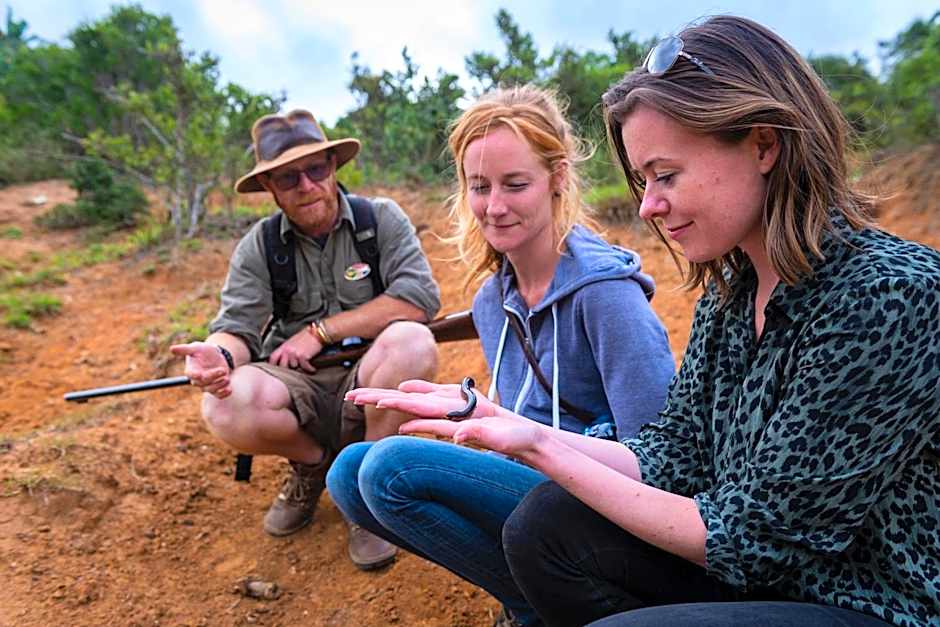 Addo Elephant Safari Lodge - Bellevue Forest Reserve